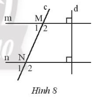 Sách bài tập Toán 7 Bài tập cuối chương 4 - Chân trời sáng tạo (ảnh 1)