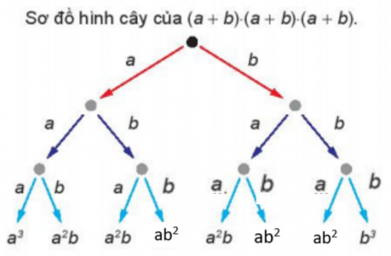 Giải Toán 10 Bài 25 (Kết nối tri thức): Nhị thức Newton (ảnh 1)