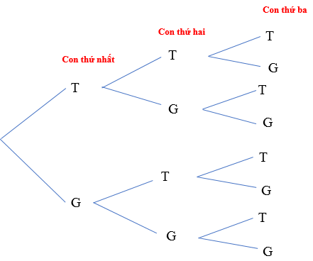 Giải Toán 10 Bài 27 (Kết nối tri thức): Thực hành tính xác suất theo định nghĩa cổ điển (ảnh 1)