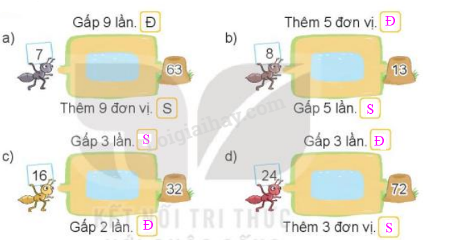 Toán lớp 3 trang 71 Luyện tập | Kết nối tri thức (ảnh 4)