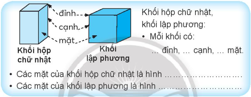 Vở bài tập Toán lớp 3 Tập 1 trang 26 Bài 13: Khối hộp chữ nhật. Khối lập phương - Chân trời sáng tạo (ảnh 1)