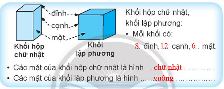 Vở bài tập Toán lớp 3 Tập 1 trang 26 Bài 13: Khối hộp chữ nhật. Khối lập phương - Chân trời sáng tạo (ảnh 1)