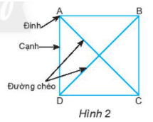 Dùng dụng cụ học tập để kiểm tra xem hai đường chéo AC và BD có bằng nhau