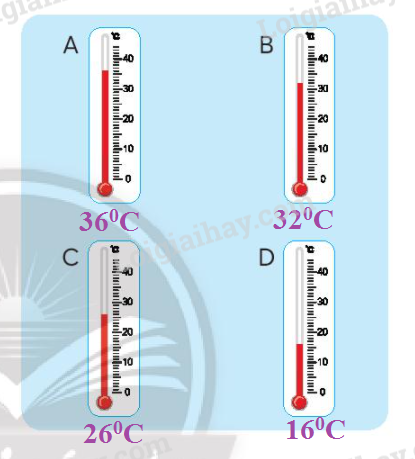 Toán lớp 3 Ôn tập các phép tính trang 89, 90, 91 | Chân trời sáng tạo (ảnh 2)