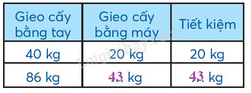 Toán lớp 3 Bảng chia 8 trang 65 | Chân trời sáng tạo (ảnh 1)