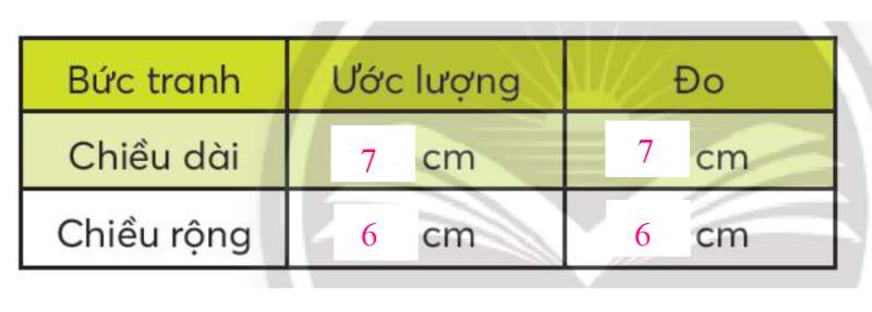 Toán lớp 3 trang 72, 73 Diện tích hình chữ nhật | Chân trời sáng tạo (ảnh 8)