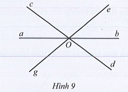 Sách bài tập Toán 7 Bài 1: Góc ở vị trí đặc biệt - Cánh diều (ảnh 1)