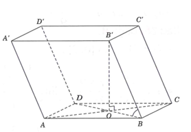 Cho lăng trụ ABCD.A'B'C'D'  có đáy là hình thoi cạnh a, góc BAD=60 độ . Hình chiếu vuông góc của  xuống mặt đáy trùng với giao điểm hai đường chéo của đáy và cạnh bên BB'=a . Tính góc giữa cạnh bên và mặt đáy. (ảnh 1)