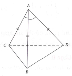 Cho tứ diện ABCD có AB=AC=AD  và góc BAC= góc BAD=60 độ . Hãy xác định góc giữa cặp vecto  AB  và  CD   (ảnh 1)