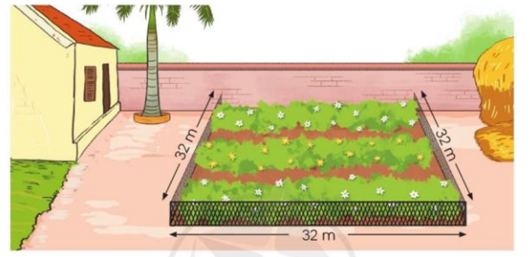 a) Một khu đất trồng hoa có dạng hình vuông cạnh 32 m như hình dưới đây. Để đủ rào khu đất này cần bao nhiêu mét rào (ảnh 1)