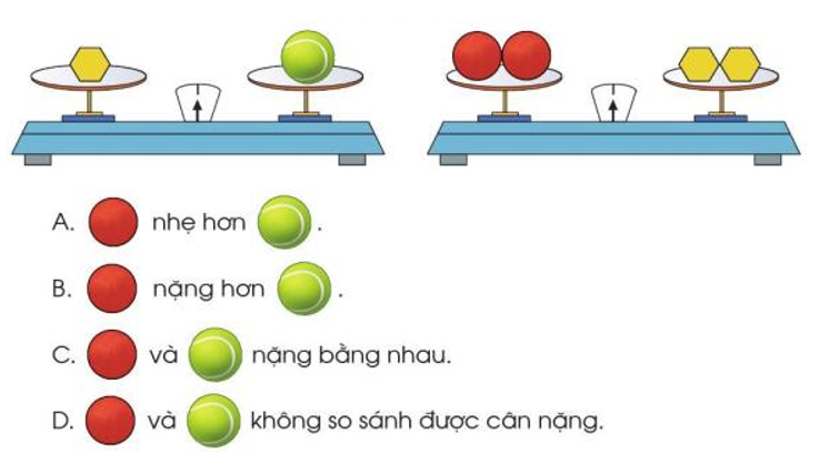 Quan sát hình vẽ, chọn chữ đặt trước đáp án đúng (ảnh 1)