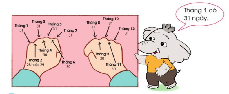 Thực hành: Xác định số ngày trong mỗi tháng. (ảnh 1)