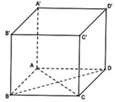 Cho hình lăng trụ đứng ABCD.A'B'C'D' có đáy là hình thoi, biết  AA'=4a AC=2a BD=a .Thể tích của khối lăng trụ là (ảnh 1)