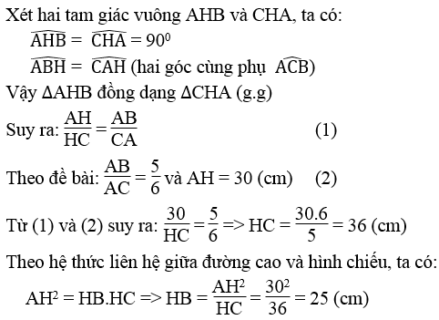 Giải sách bài tập Toán 9 | Giải bài tập Sách bài tập Toán 9