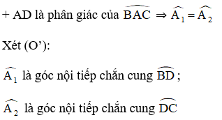 Giải bài 9 trang 135 SGK Toán 9 Tập 2 | Giải toán lớp 9