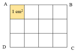 Diện tích hình chữ nhật ABCD là: A. 12 cm^2 B. 12 cm C. 10 cm^2 (ảnh 1)