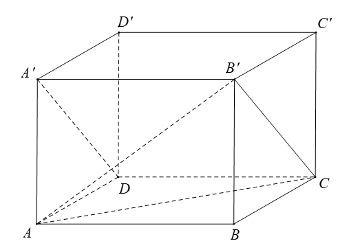 Cho hình lập phương  ABCD.A'B'C'D' Góc giữa hai đường thẳng AC và  A'D bằng (ảnh 1)