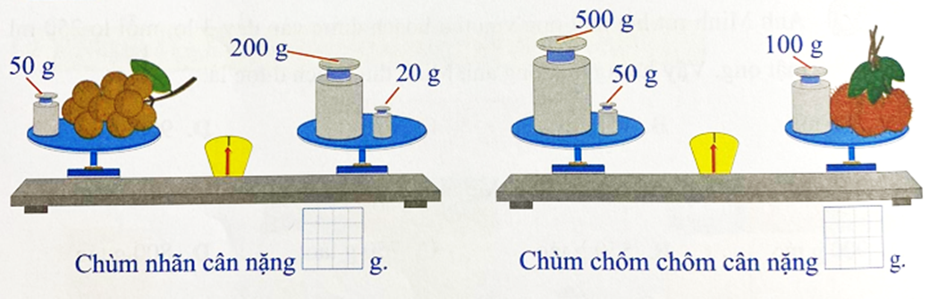 Số 50 g 200 g 20 g 500 g 50 g 100 g Chùm nhãn cân nặng g Chùm chôm chôn  (ảnh 1)