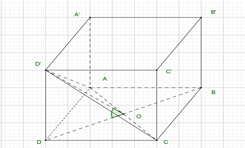 Cho hình lập phương ABCD.A'B'C'D' có cạnh bằng a. Gọi anpha là góc giữa (ACD') và (ABCD). Giá trị của tan anpha bằng: (ảnh 1)