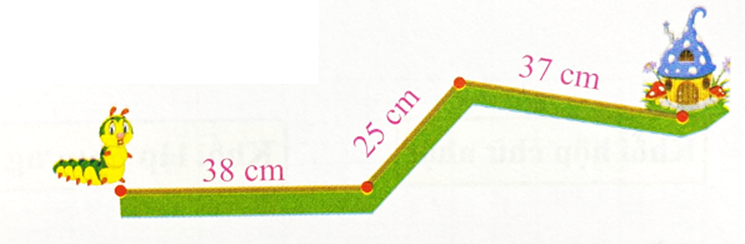 Để về đến nhà, Sâu cần đi quãng đường dài là: 38 cm 25 cm 37 cm (ảnh 1)