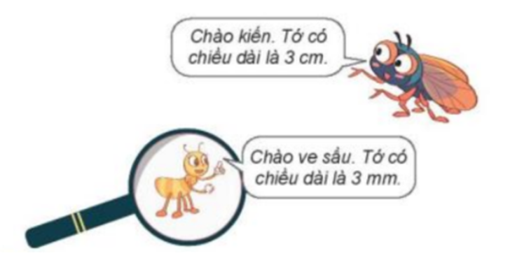 Bạn nào dài hơn? Chào kiến. Tớ có chiều dài là 2 cm. Chào ve sầu. Tớ có (ảnh 1)