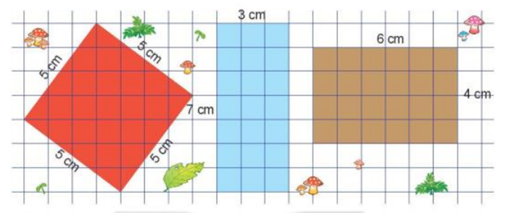 Ba bác kiến rào đất để trồng nấm. Kiến lửa rào mảnh đất màu đỏ (ảnh 1)