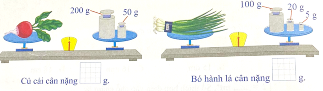 Số 200 g 50 g Củ cải cân nặng g 100 g 20 g 5 g Bó hành lá cân nặng g 100 g 100 g  (ảnh 1)