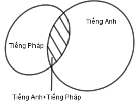 Để phục vụ cho hội nghị quốc tế, ban tổ chức đã huy động 30 cán bộ phiên dịch (ảnh 1)