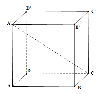  Trong các câu trả lời dưới đây câu nào nói về hình lập phương là không đúng (ảnh 1)