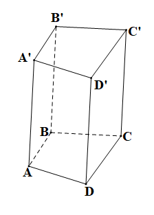 Mỗi hình lăng trụ đứng tứ giác có bao nhiêu đỉnh? A. 6 đỉnh; B. 12 đỉnh; (ảnh 1)