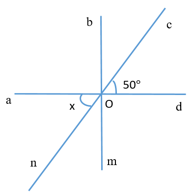  Tìm số đo x A. 40 độ;  B. 120 độ; C. 30 độ; D. 50 độ. (ảnh 1)