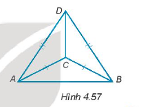 Cho các điểm A, B, C, D như Hình 4.57. Đường thẳng DC có vuông góc với đường thẳng AB không? Vì sao? (ảnh 1)