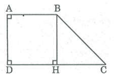 Giải sách bài tập Toán 8 | Giải bài tập Sách bài tập Toán 8