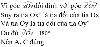 Toán lớp 9 | Lý thuyết - Bài tập Toán 9 có đáp án