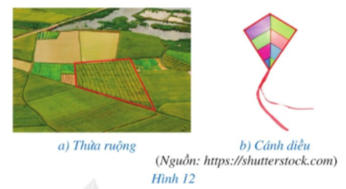 Hình ảnh thửa ruộng nhìn từ trên cao hay hình ảnh cánh diều (Hình 12) gợi lên những hình tứ giác.  (ảnh 1)