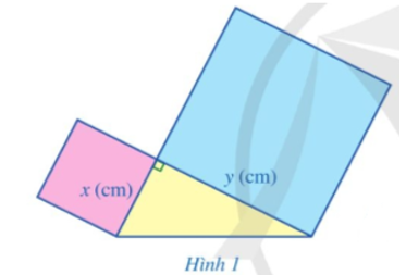 Trong giờ học Mĩ thuật, bạn Hạnh dán lên trang vở hai hình vuông và một tam giác vuông có độ dài hai cạnh hình vuông và một tam giác vuông có độ dài hai cạnh góc vuông là x (cm), y (cm) như Hình 1.    Tổng diện tích của hai hình vuông và tam giác vuông là:   (cm2). Biểu thức đại số   còn được gọi là gì? (ảnh 1)