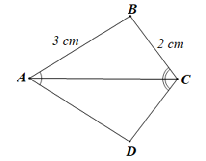 Cho hình vẽ dưới đây: Độ dài đoạn thẳng CD bằng: A. 1 cm; (ảnh 1)