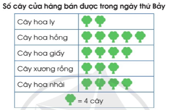 Trong ngày thứ Bảy:  Cửa hàng bán được số cây hoa nhài gấp mấy lần số cây hoa ly (ảnh 1)