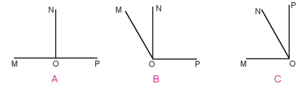 Chọn câu trả lời đúng. Bạn Rô-bốt vẽ góc đỉnh O; cạnh OM, ON có số đo 300 và góc đỉnh O; cạnh ON, OP có số đo 900 để tạo thành góc đỉnh O (ảnh 1)