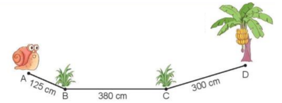 Con ốc sên bò đến cây chuối theo đường gấp khúc ABCD. Hỏi con ốc (ảnh 1)