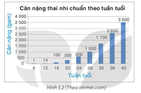 Biểu đồ Hình 5.2 cho biết cân nặng thai nhi chuẩn tại một số thời điểm trong thai kì. (ảnh 1)