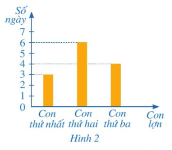 Gia đình cô Lương nuôi ba con lợn. Cả ba con lợn đều ăn cùng một loại thức ăn gia súc. Biểu đồ cột ở Hình 2 biểu diễn số ngày mà mỗi con lợn ăn hết một bao thức ăn. Hỏi cả ba con lợn ăn trong x ngày (x ∈ ℕ*) thì cần bao nhiêu thức ăn?   (ảnh 1)