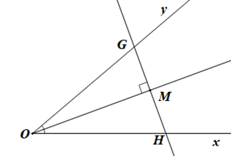Cho góc xOy khác góc bẹt. Trên tia phân giác của góc xOy lấy điểm M  (ảnh 1)