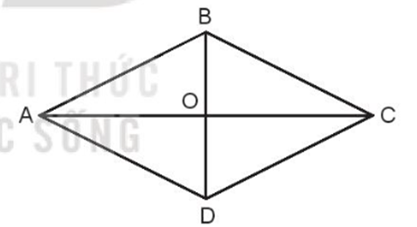 Cho hình thoi ABCD. Hai đường chéo AC và BD của hình thoi cắt nhau tại điểm O.  Dùng ê ke để kiểm tra xem hai đường chéo có vuông góc với nhau hay không. (ảnh 1)