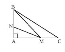 Quan sát hình dưới đây và cho biết đoạn ngắn nhất trong các đoạn MA, MB, MN, MC. (ảnh 1)