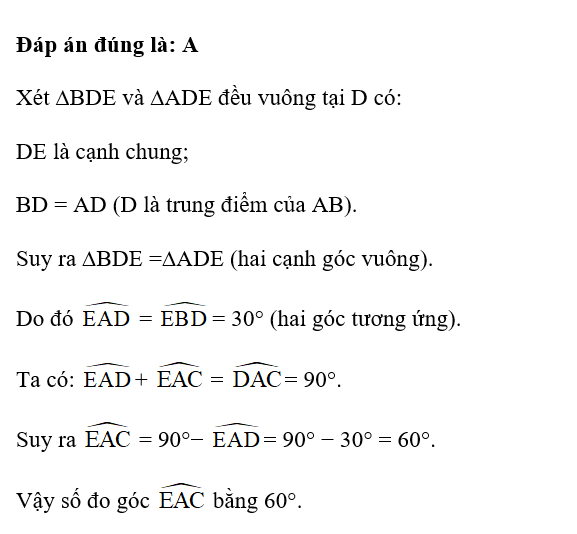 Cho tam giác ABC vuông tại A và D là trung điểm của AB. Từ D kẻ đường thẳng vuông (ảnh 2)