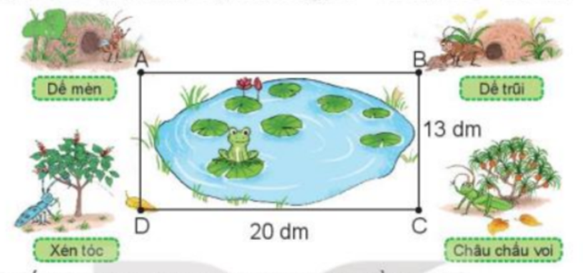 Nhà các bạn dế mèn, dế trũi, châu chấu voi và xén tóc ở bốn đỉnh (ảnh 1)