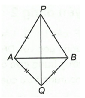 Cho đoạn thẳng AB. Dựng các ∆PAB cân tại P, ∆QAB cân tại  (ảnh 1)