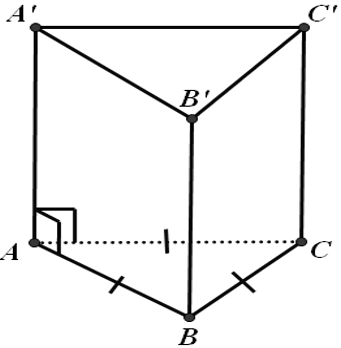 Lý thuyết: Hình lăng trụ đứng | Lý thuyết và Bài tập Toán 8 có đáp án