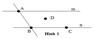 Trắc nghiệm: Điểm. Đường thẳng - Bài tập Toán lớp 6 chọn lọc có đáp án, lời giải chi tiết